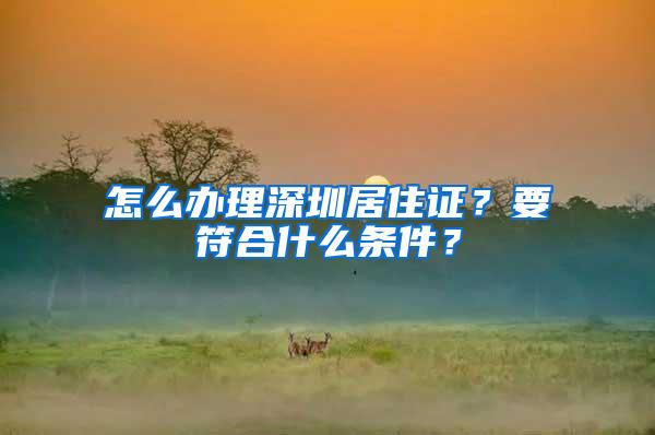 怎么办理深圳居住证？要符合什么条件？