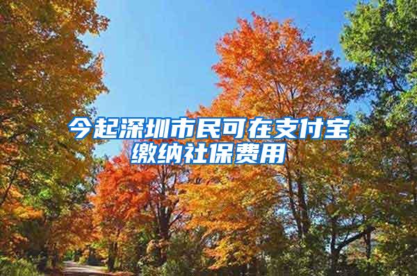 今起深圳市民可在支付宝缴纳社保费用