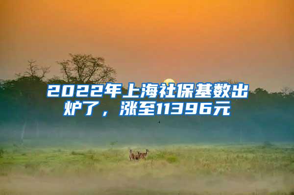 2022年上海社保基数出炉了，涨至11396元