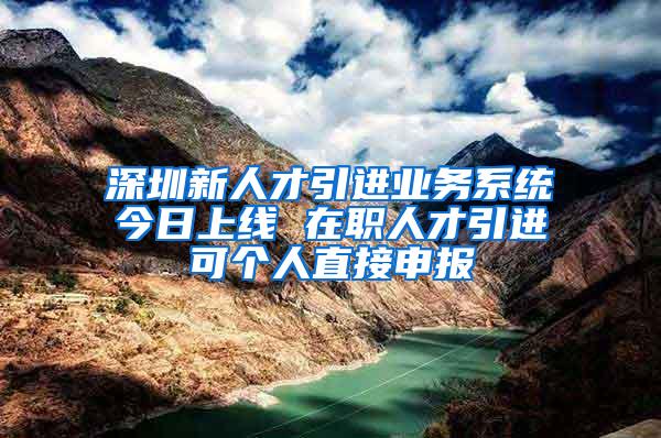 深圳新人才引进业务系统今日上线 在职人才引进可个人直接申报