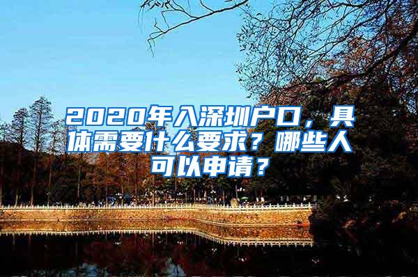 2020年入深圳户口，具体需要什么要求？哪些人可以申请？