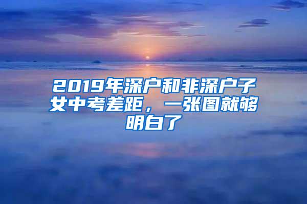 2019年深户和非深户子女中考差距，一张图就够明白了