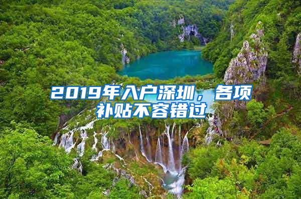 2019年入户深圳，各项补贴不容错过