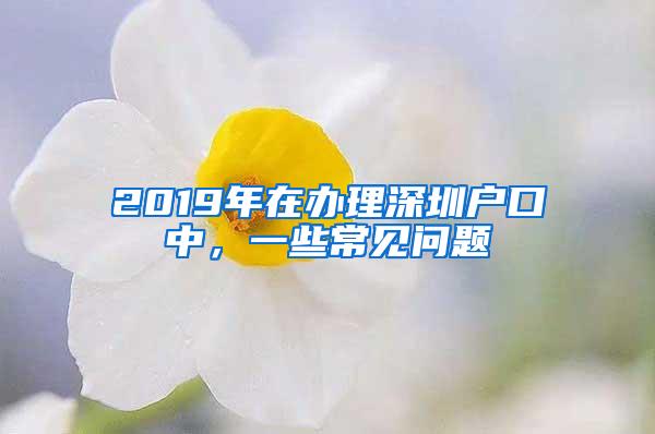 2019年在办理深圳户口中，一些常见问题