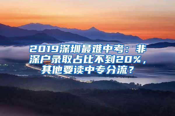 2019深圳最难中考：非深户录取占比不到20%，其他要读中专分流？