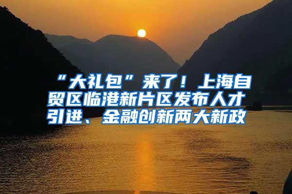 “大礼包”来了！上海自贸区临港新片区发布人才引进、金融创新两大新政