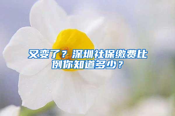 又变了？深圳社保缴费比例你知道多少？