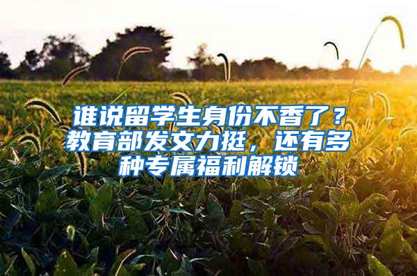 谁说留学生身份不香了？教育部发文力挺，还有多种专属福利解锁