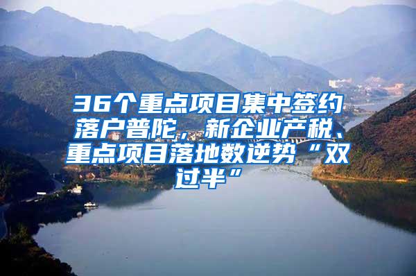 36个重点项目集中签约落户普陀，新企业产税、重点项目落地数逆势“双过半”