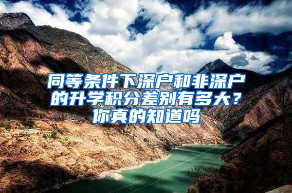 同等条件下深户和非深户的升学积分差别有多大？你真的知道吗