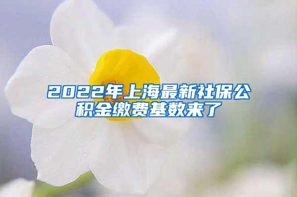 2022年上海最新社保公积金缴费基数来了