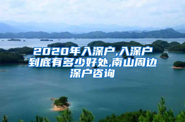 2020年入深户,入深户到底有多少好处,南山周边深户咨询