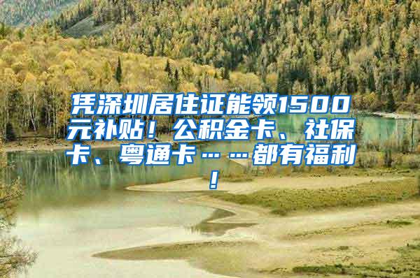 凭深圳居住证能领1500元补贴！公积金卡、社保卡、粤通卡……都有福利！