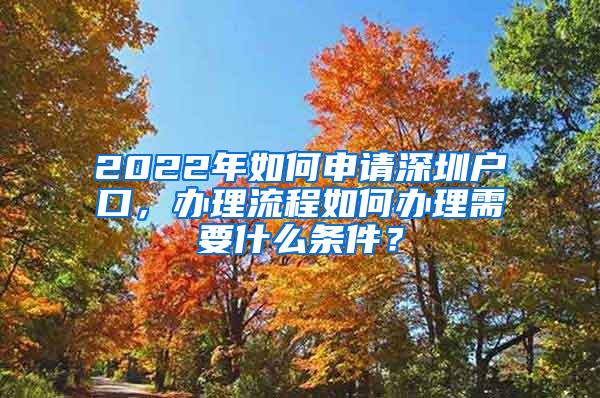 2022年如何申请深圳户口，办理流程如何办理需要什么条件？