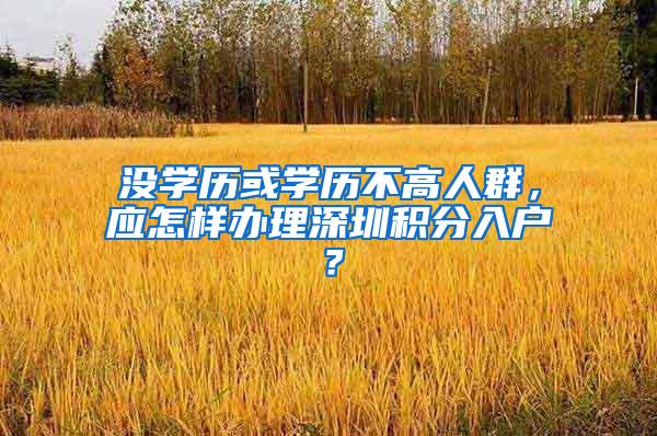 没学历或学历不高人群，应怎样办理深圳积分入户？