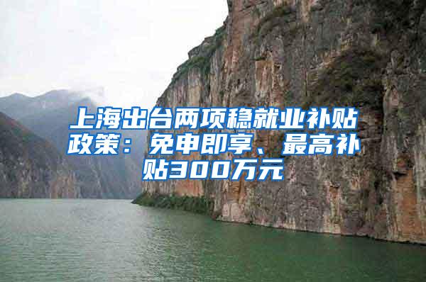 上海出台两项稳就业补贴政策：免申即享、最高补贴300万元