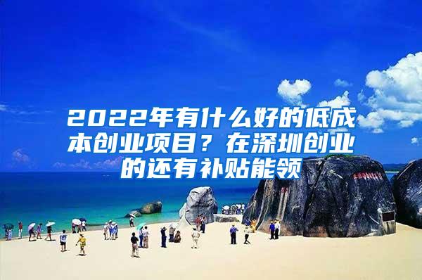 2022年有什么好的低成本创业项目？在深圳创业的还有补贴能领