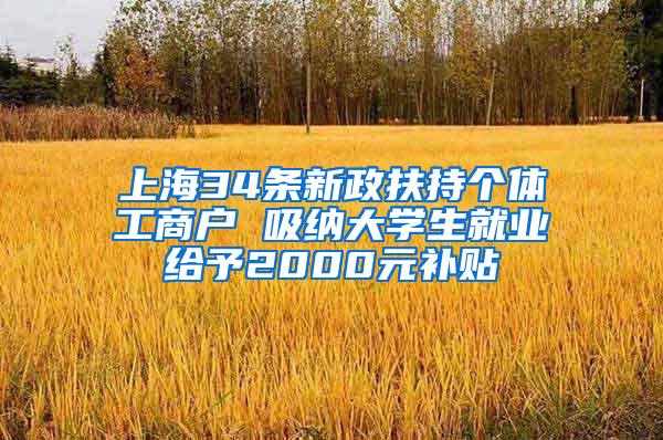 上海34条新政扶持个体工商户 吸纳大学生就业给予2000元补贴