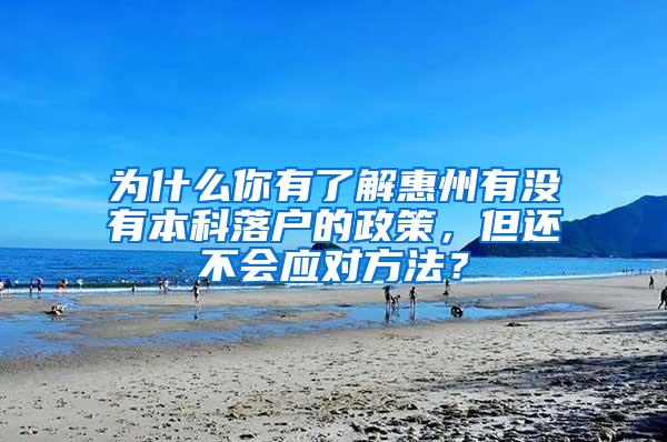 为什么你有了解惠州有没有本科落户的政策，但还不会应对方法？