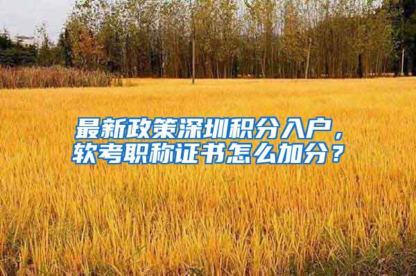 最新政策深圳积分入户，软考职称证书怎么加分？