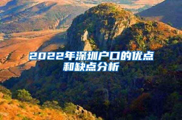 2022年深圳户口的优点和缺点分析