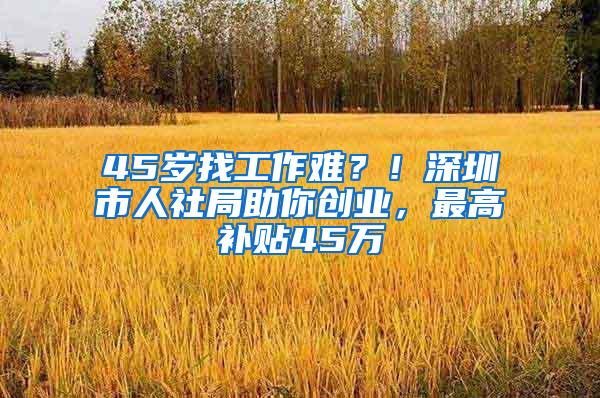 45岁找工作难？！深圳市人社局助你创业，最高补贴45万