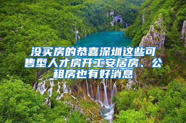 没买房的恭喜深圳这些可售型人才房开工安居房、公租房也有好消息