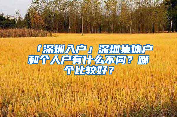 「深圳入户」深圳集体户和个人户有什么不同？哪个比较好？