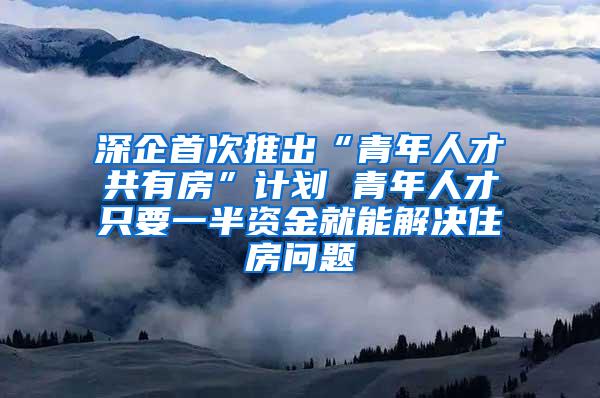 深企首次推出“青年人才共有房”计划 青年人才只要一半资金就能解决住房问题