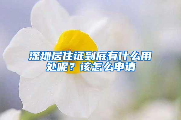 深圳居住证到底有什么用处呢？该怎么申请