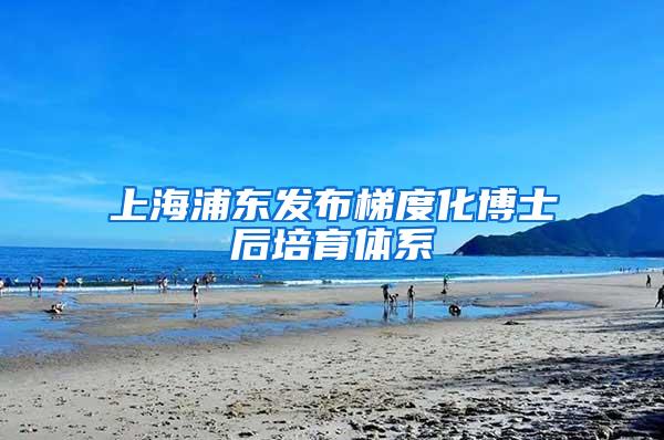 上海浦东发布梯度化博士后培育体系