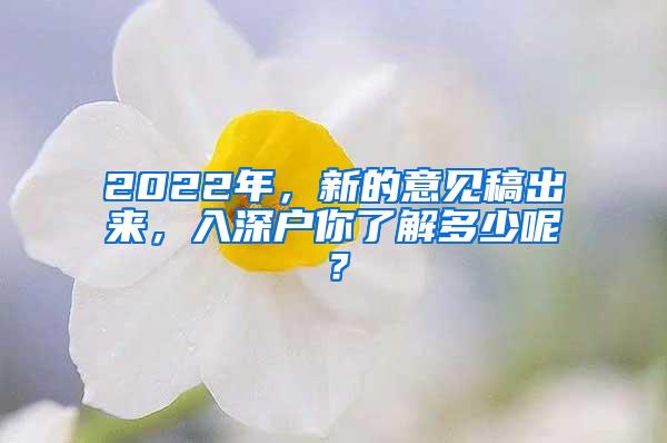 2022年，新的意见稿出来，入深户你了解多少呢？