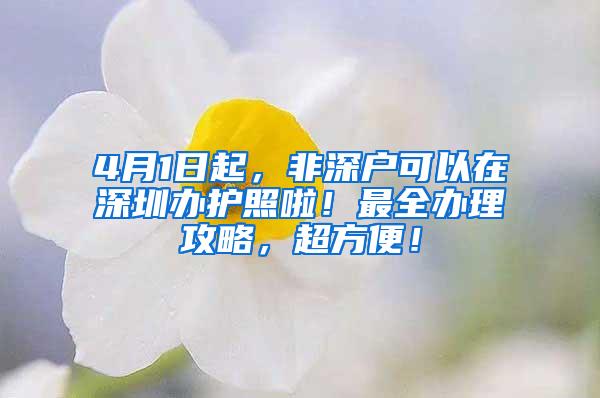 4月1日起，非深户可以在深圳办护照啦！最全办理攻略，超方便！