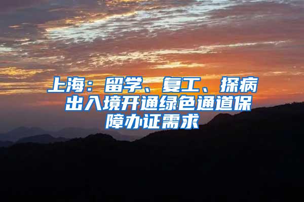 上海：留学、复工、探病 出入境开通绿色通道保障办证需求