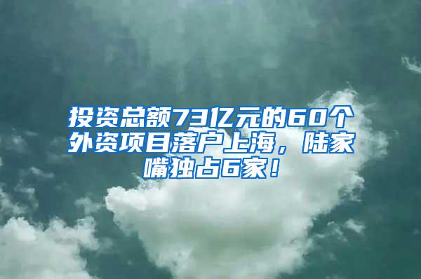 投资总额73亿元的60个外资项目落户上海，陆家嘴独占6家！