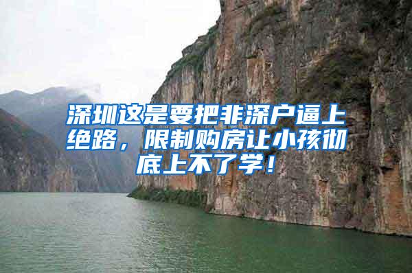 深圳这是要把非深户逼上绝路，限制购房让小孩彻底上不了学！