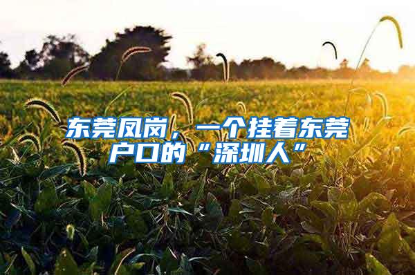 东莞凤岗，一个挂着东莞户口的“深圳人”