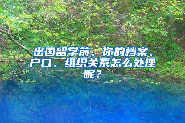 出国留学前，你的档案、户口、组织关系怎么处理呢？