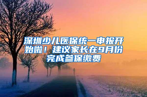 深圳少儿医保统一申报开始啦！建议家长在9月份完成参保缴费