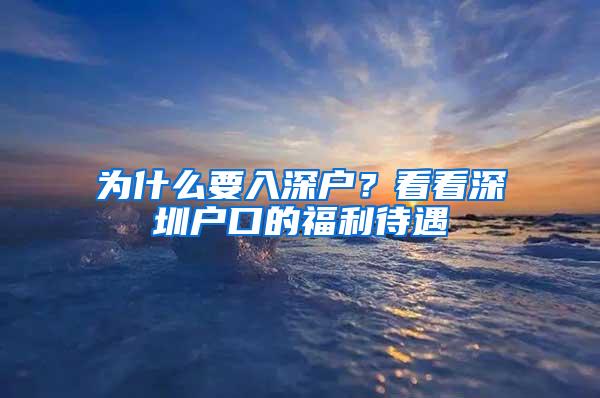 为什么要入深户？看看深圳户口的福利待遇