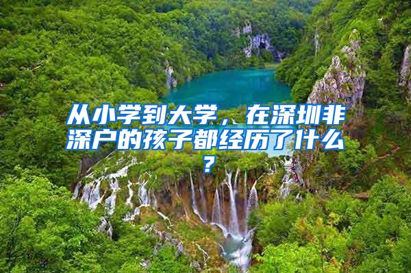 从小学到大学，在深圳非深户的孩子都经历了什么？