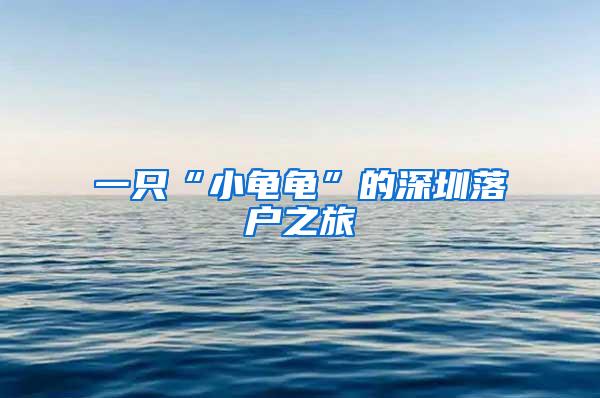 一只“小龟龟”的深圳落户之旅