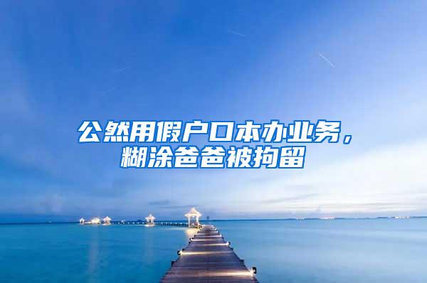 公然用假户口本办业务，糊涂爸爸被拘留