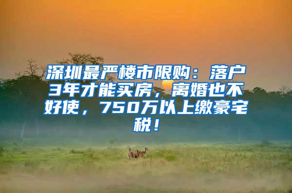 深圳最严楼市限购：落户3年才能买房，离婚也不好使，750万以上缴豪宅税！