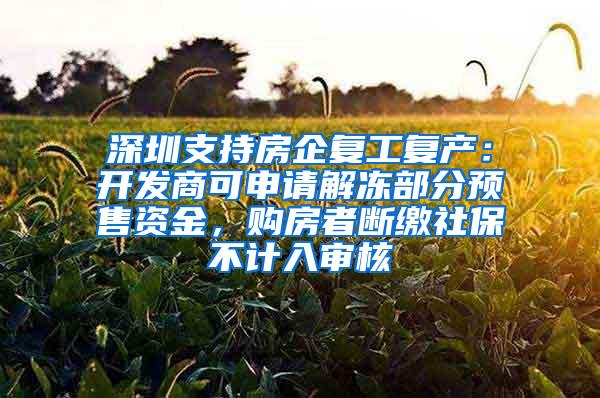 深圳支持房企复工复产：开发商可申请解冻部分预售资金，购房者断缴社保不计入审核