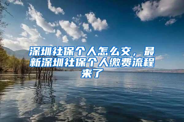 深圳社保个人怎么交，最新深圳社保个人缴费流程来了