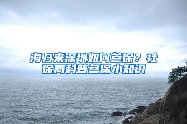 海归来深圳如何参保？社保局科普参保小知识