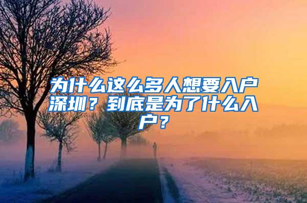 为什么这么多人想要入户深圳？到底是为了什么入户？