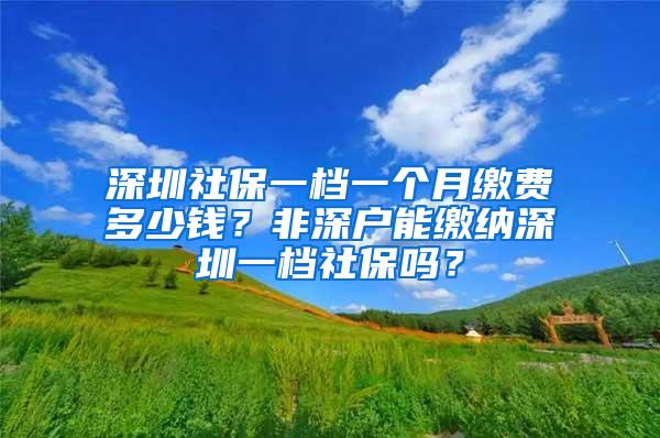 深圳社保一档一个月缴费多少钱？非深户能缴纳深圳一档社保吗？