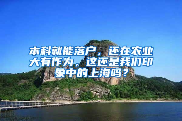 本科就能落户，还在农业大有作为，这还是我们印象中的上海吗？